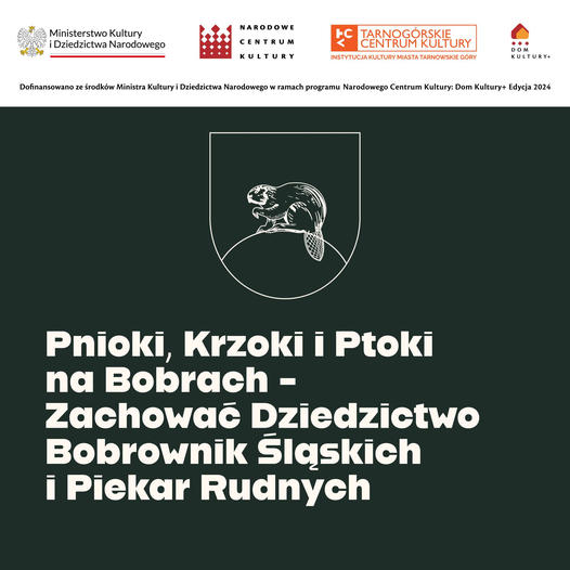 Pnioki, Krzoki i Ptoki na Bobrach